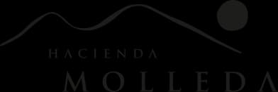 Logo de Hacienda Molleda