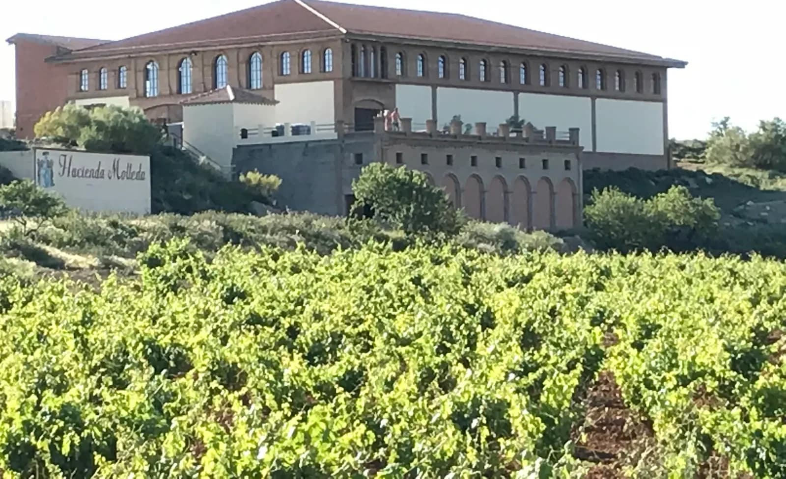 Viñedo y bodega de Hacienda Molleda, en Tosos (Zaragoza)