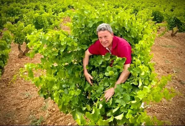 Balbino Lacosta entre las cepas de un viñedo de Garnacha