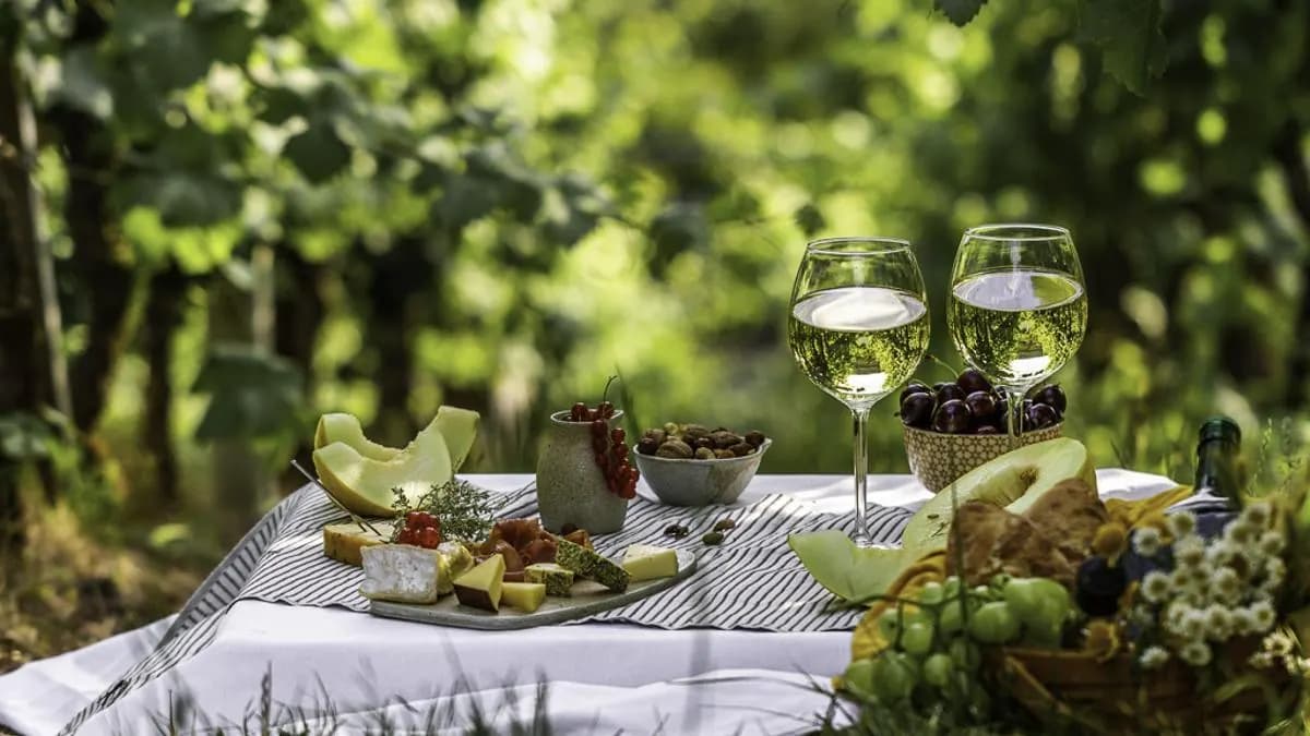 Vino de Garnacha Blanca