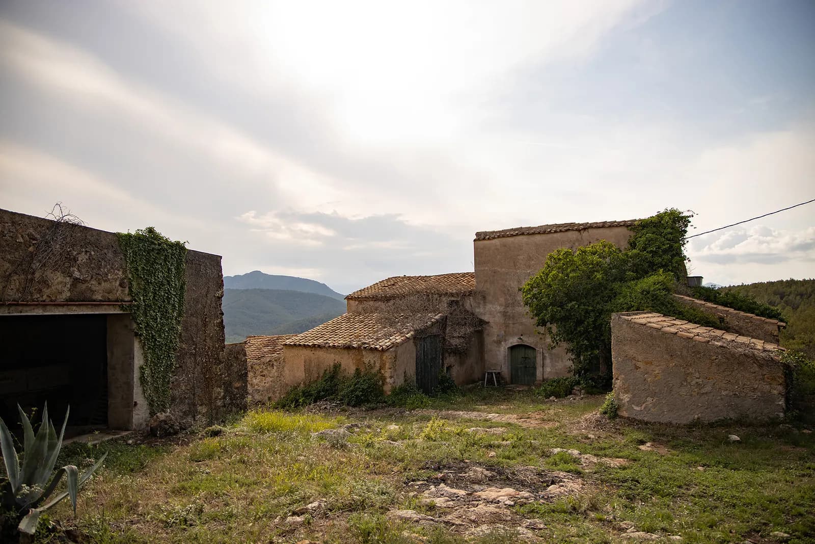 Viñedo y bodega de Can Sumoi