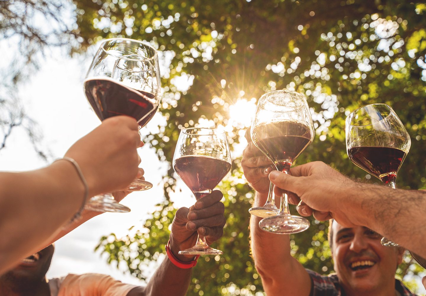 Festival de la Garnacha en Zaragoza