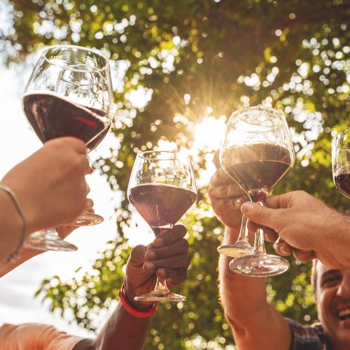 Festival de la Garnacha en Zaragoza para amantes del vino