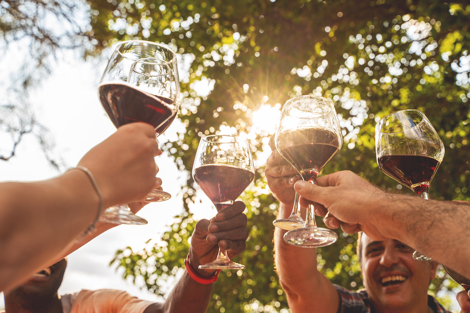 Festival de la Garnacha en Zaragoza