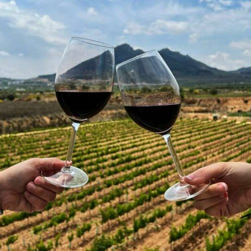 Vino Garnacha: Guía para elegir y disfrutar como un experto