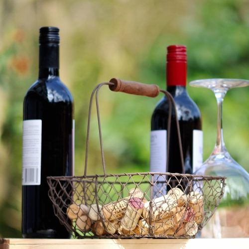 Vino tinto Garnacha: qué es, cómo sabe y claves para elegir