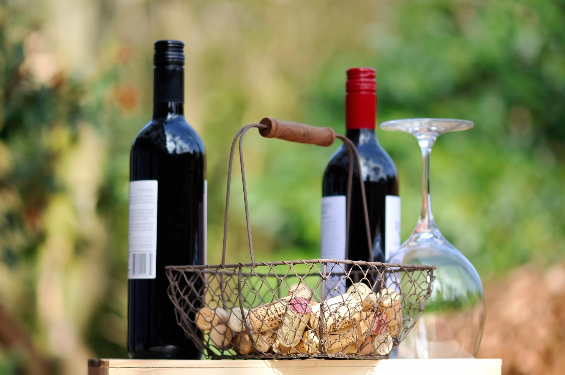 vino tinto garnacha